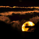 Illustration for article titled Behold The Transit of Venus In Photographs